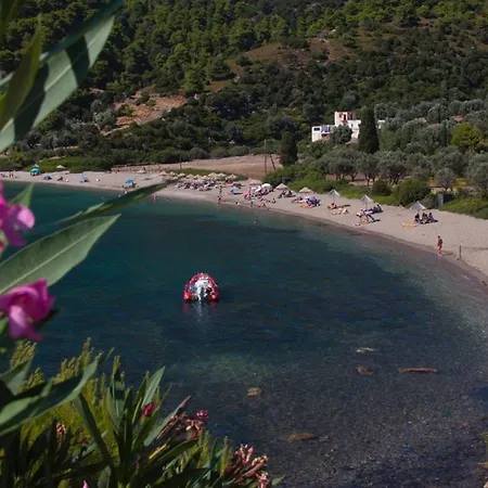 Cozy - In The Heart Of Village Pensjonat 3*